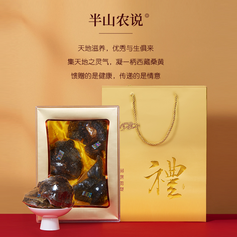 半山农 正宗西藏桑黄 桑黄菌 桑黄灵芝整枝桑黄茶500g 精选大支送礼品礼盒装